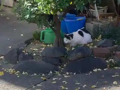 杉山大神(神奈川県)