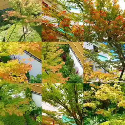 寿量山 速成寺のその他建物