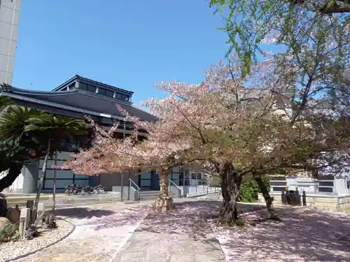 妙善寺のその他建物