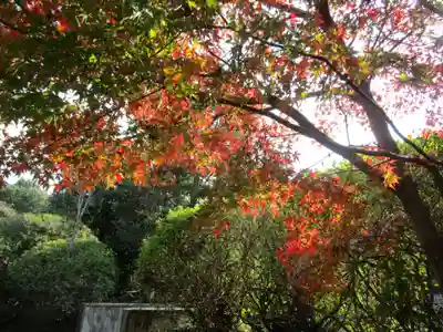 長岳寺(奈良県)