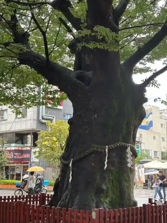 大國魂神社(東京都)