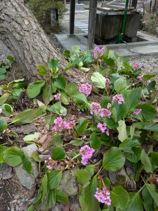 船魂神社の{uncategorized: "未分類", other: "その他", undefined: "問題あり", building: "その他建物", grave: "お墓", sacred_gate: "鳥居", guardian: "狛犬", statue: "像", buddha: "仏像", history: "歴史", nature: "自然", garden: "庭園", animal: "動物", pagoda: "塔", temizu: "手水舎", mountain_gate: "山門・神門", sanctuary: "本殿・本堂", subordinate: "末社・摂社", art: "芸術", scenery: "景色", jizo: "地蔵", ema: "絵馬", goshuin: "御朱印", omikuji: "おみくじ", items: "授与品その他", amulet: "お守り", goshuincho: "御朱印帳", eats: "食事", festival: "お祭り", votive_dance: "神楽", shichigosan: "七五三参", wedding: "結婚式", experience: "体験その他", initially: "初詣", around: "周辺", anti_infection: "感染症対策"}