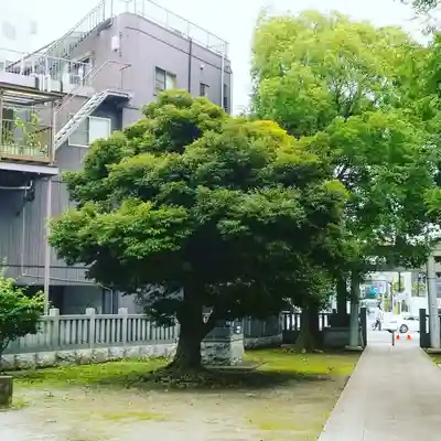 香取神社の鳥居