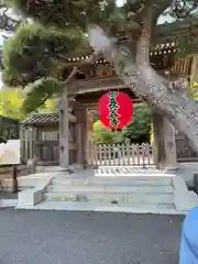 長谷寺(神奈川県)