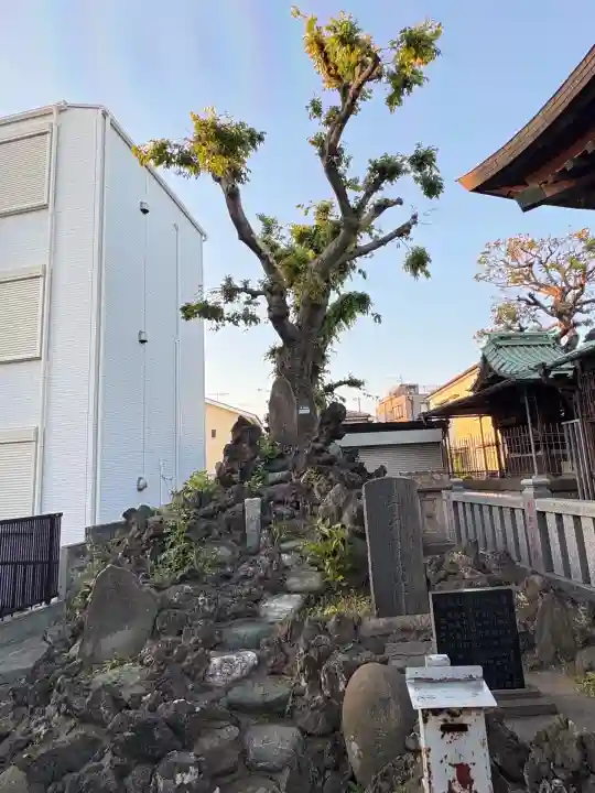 桑川神社のその他建物