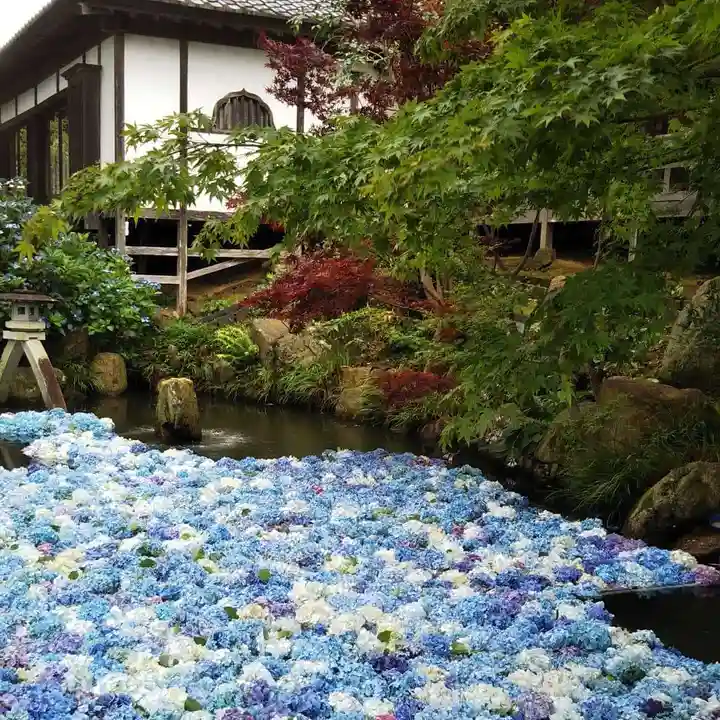 楽法寺(雨引観音)の庭園