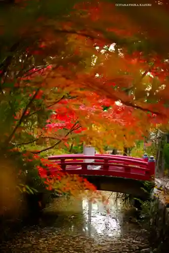 鶴岡八幡宮の庭園