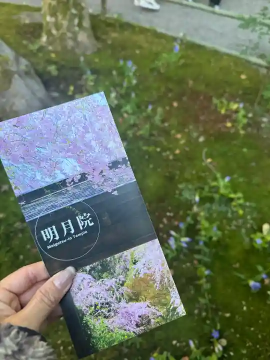 明月院(神奈川県)