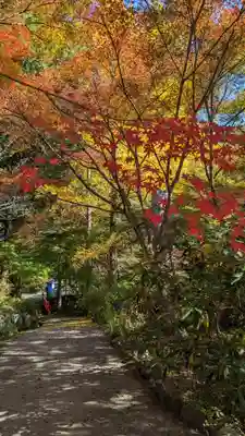 神藏寺(京都府)