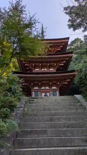 浄瑠璃寺(京都府)