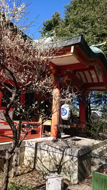 芝東照宮の自然