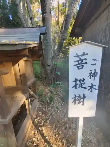 大宝八幡宮(茨城県)