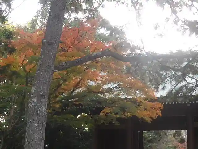 高徳院の山門・神門