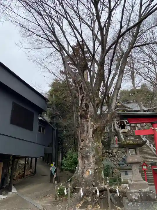 山名八幡宮(群馬県)
