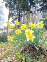 白狐山光星寺(山形県)