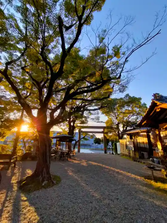 等彌神社の自然