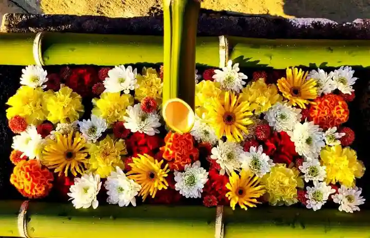 差出磯大嶽山神社 仕事と健康と厄よけの神さまの手水舎
