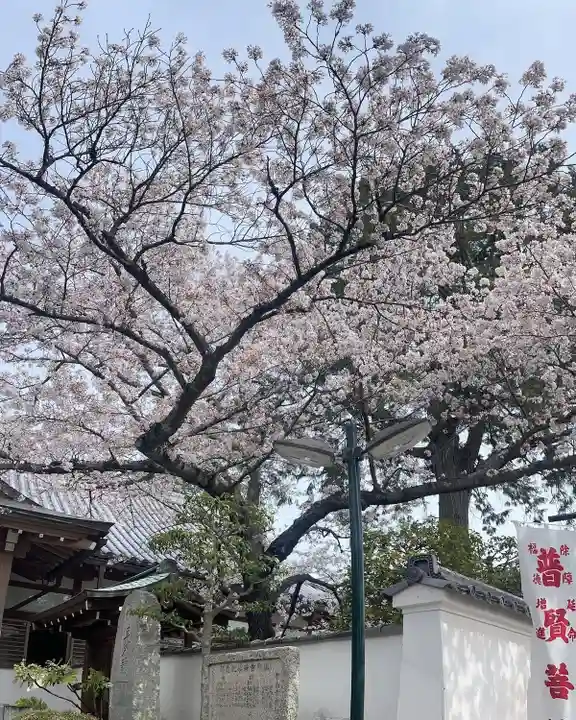 中山寺(兵庫県)