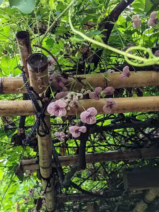 城南宮(京都府)