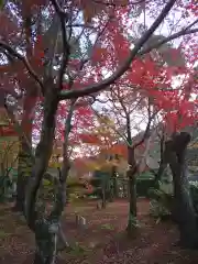 化野念仏寺(京都府)