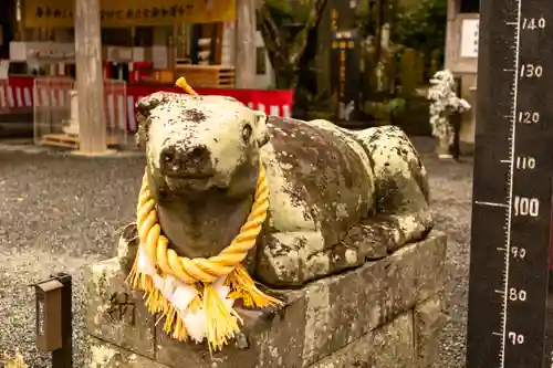 疋野神社(熊本県)