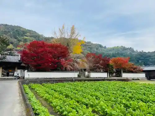 法泉寺(香川県)