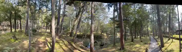 西芳寺の{uncategorized: "未分類", other: "その他", undefined: "問題あり", building: "その他建物", grave: "お墓", sacred_gate: "鳥居", guardian: "狛犬", statue: "像", buddha: "仏像", history: "歴史", nature: "自然", garden: "庭園", animal: "動物", pagoda: "塔", temizu: "手水舎", mountain_gate: "山門・神門", sanctuary: "本殿・本堂", subordinate: "末社・摂社", art: "芸術", scenery: "景色", jizo: "地蔵", ema: "絵馬", goshuin: "御朱印", omikuji: "おみくじ", items: "授与品その他", amulet: "お守り", goshuincho: "御朱印帳", eats: "食事", festival: "お祭り", votive_dance: "神楽", shichigosan: "七五三参", wedding: "結婚式", experience: "体験その他", initially: "初詣", around: "周辺", anti_infection: "感染症対策"}