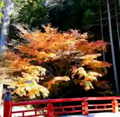 尊永寺の自然