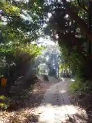 大山阿夫利／龍　神社の周辺