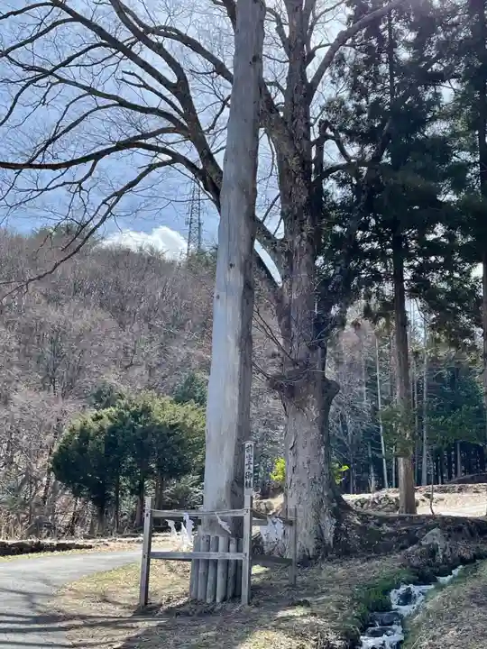 諏訪大社上社前宮の自然