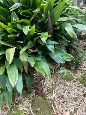 正蔵院(神奈川県)