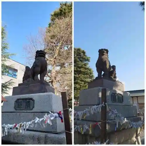 草加神社の狛犬