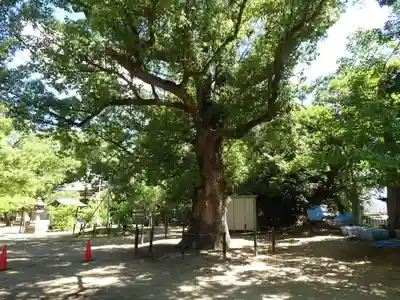 屯倉神社(大阪府)