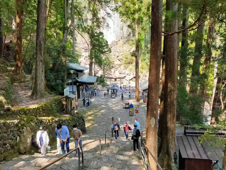 飛瀧神社(熊野那智大社別宮)(和歌山県)