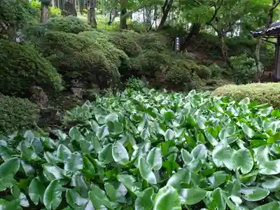 岩松院(長野県)