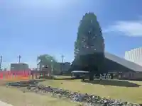 武蔵野坐令和神社(埼玉県)