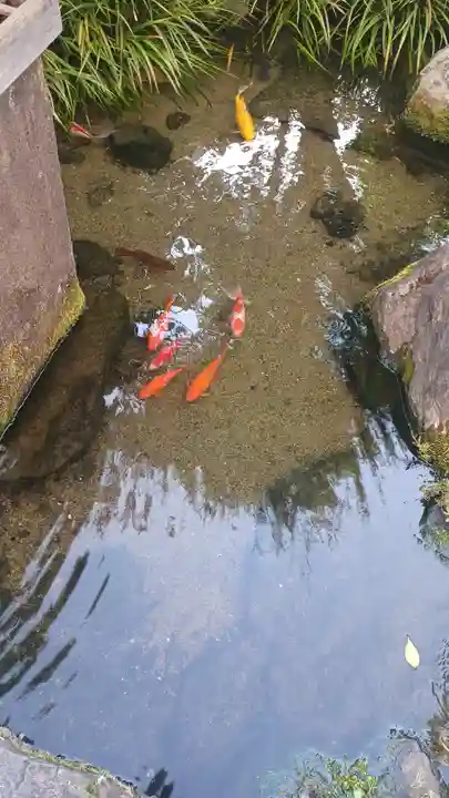 厳嶋神社(東京都)