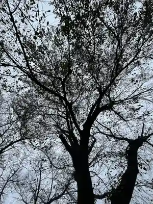 七郷神社(埼玉県)