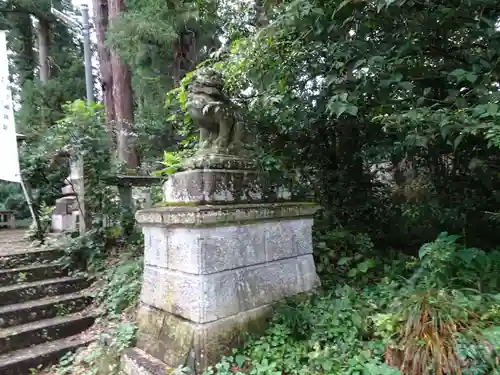 熊野神社の狛犬