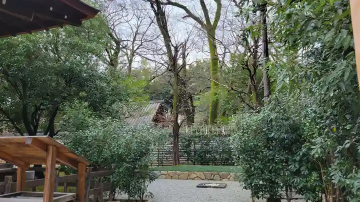賀茂御祖神社(下鴨神社)の自然