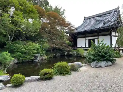 善峯寺の庭園