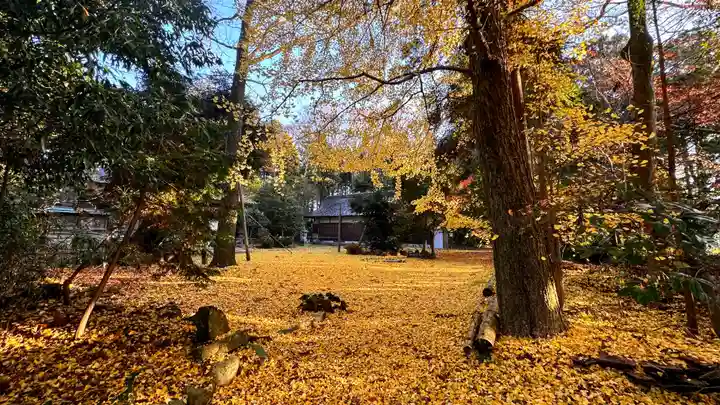 横山神社(滋賀県)