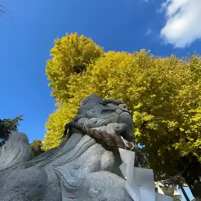 亀ケ池八幡宮の狛犬
