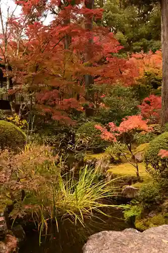 天授庵(京都府)