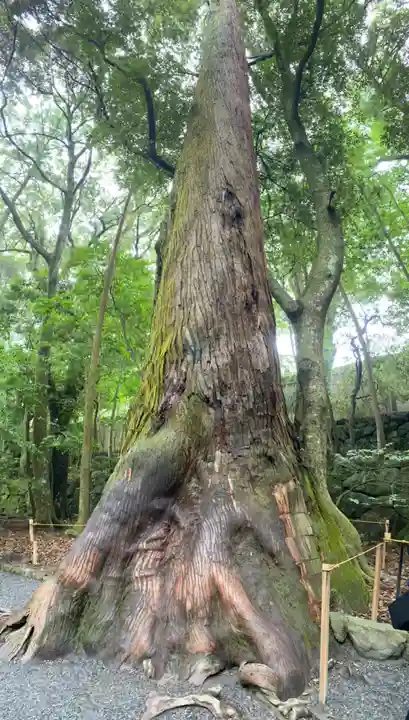 伊勢神宮内宮(皇大神宮)の自然