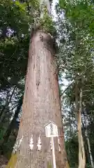 姥宮神社(埼玉県)