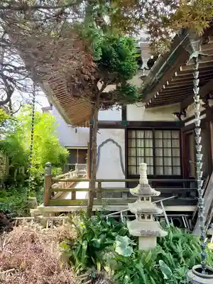 善性寺(神奈川県)