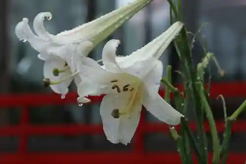 大鏑神社の自然