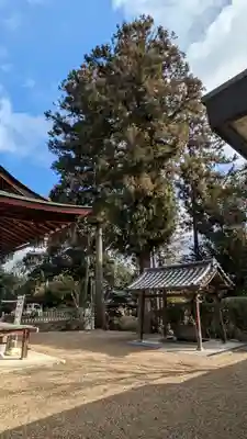 新宮神社(滋賀県)