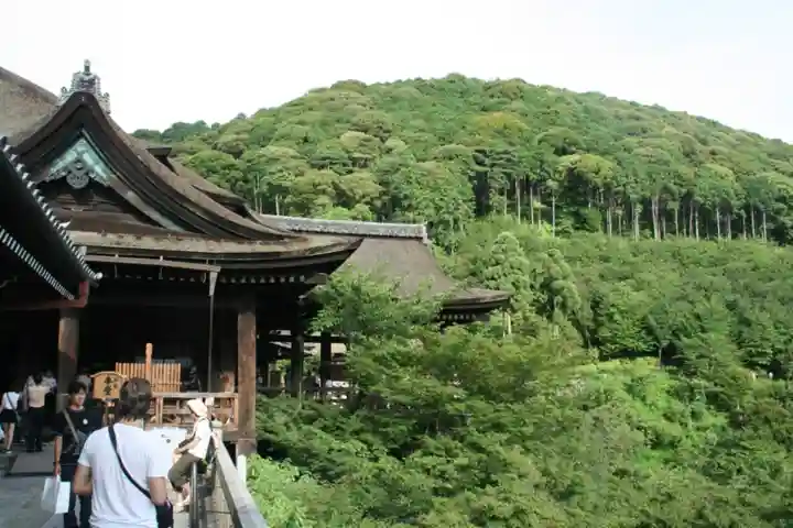 清水寺の本殿・本堂
